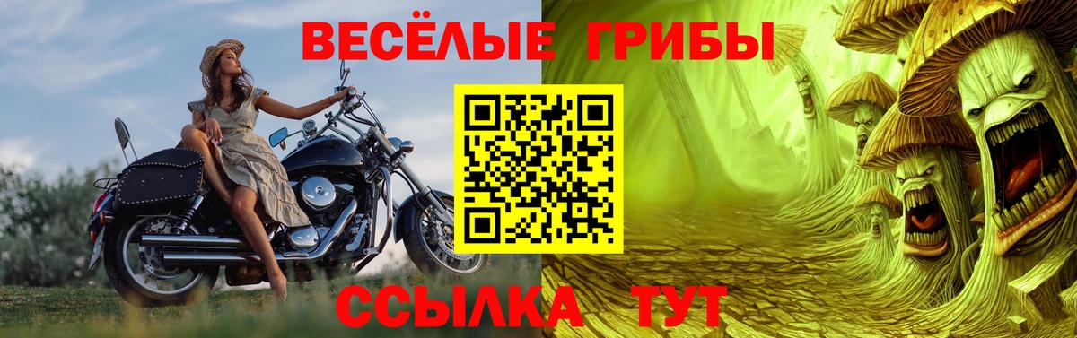 Сыктывкар  Псилоцибиновые грибы Psilocybe  Вход с VPN 